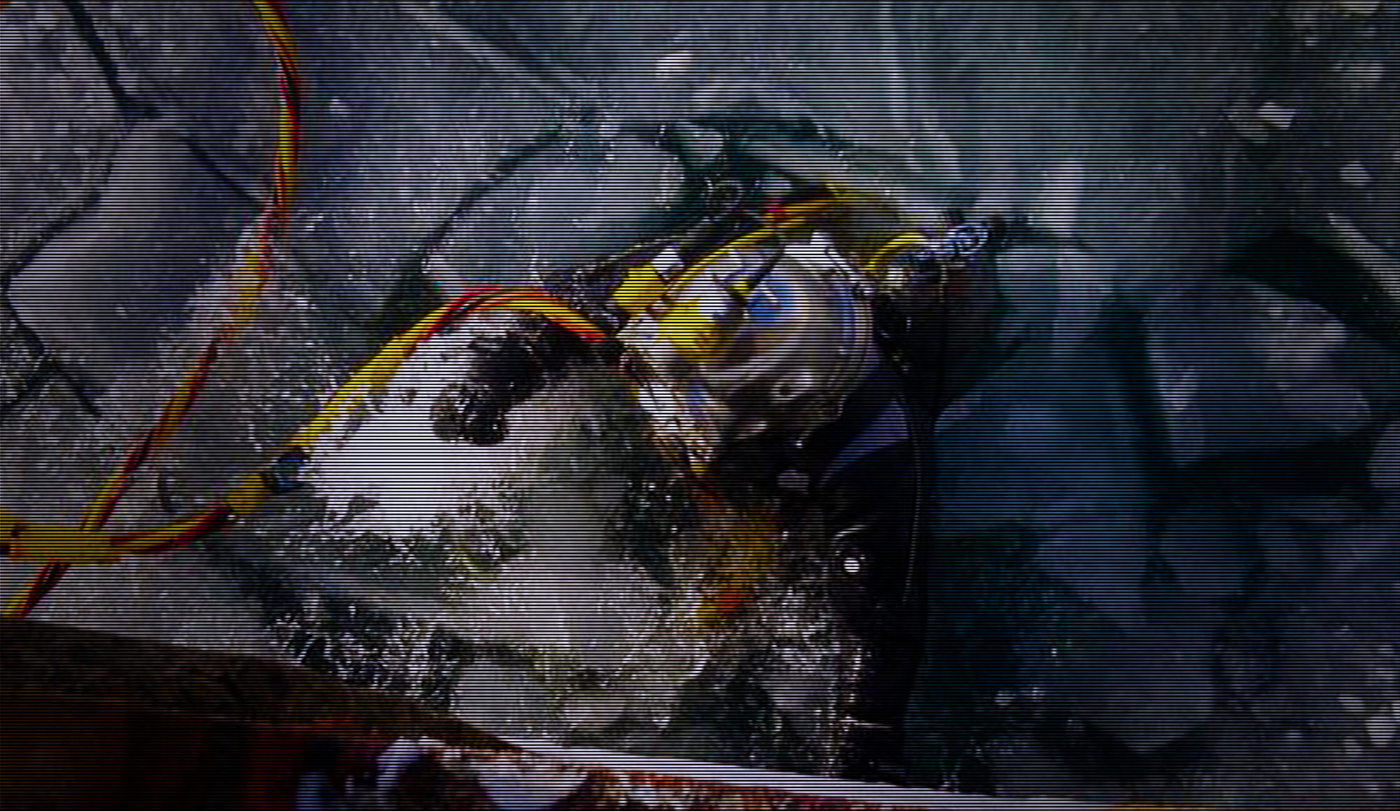 Image of CDMS diver in ice water about to perform various marine services.